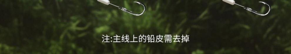 657ee11a-9b3b-4484-ab24-5c9141c61468.jpe