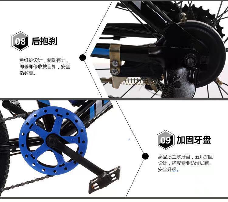 453b067d-a66e-4a99-b589-268e3080c6ef.jpe