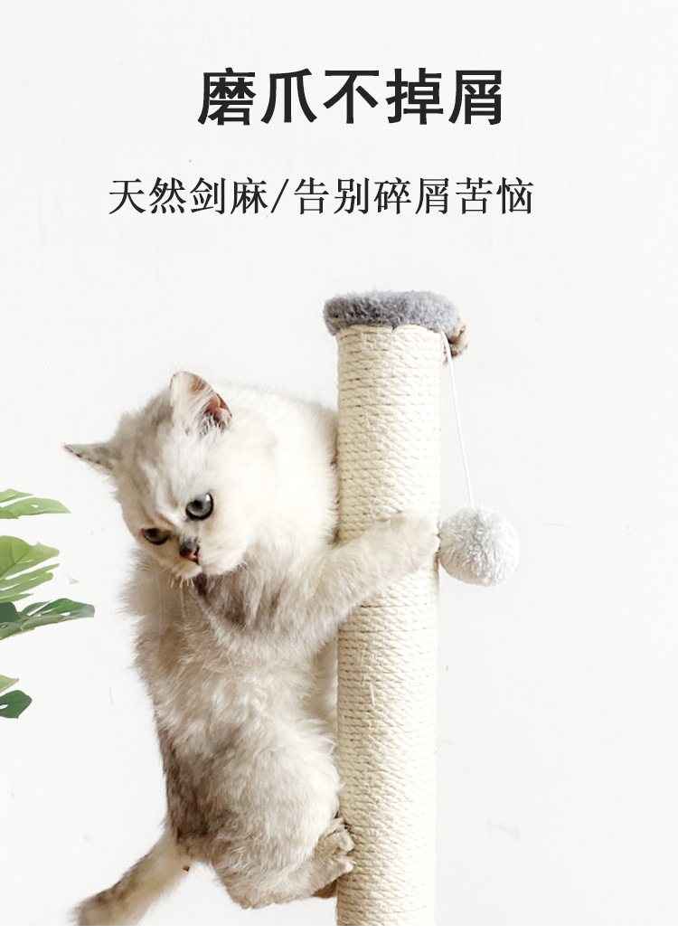 1_03.jpg?x-oss-process=image/format,png
