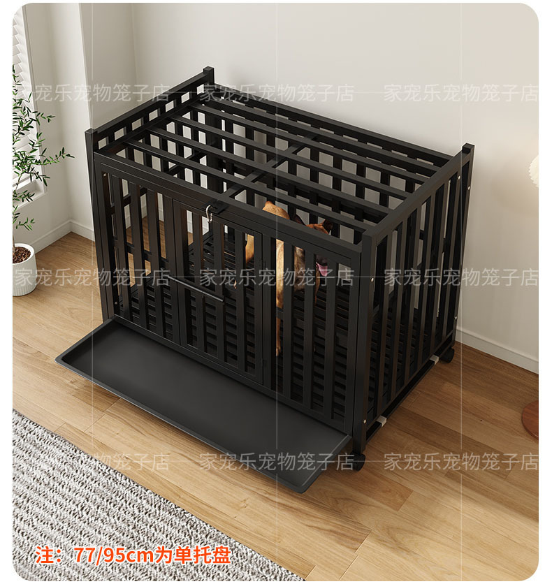 866c907b-4e0e-4f5d-947b-d316271014f5.jpe