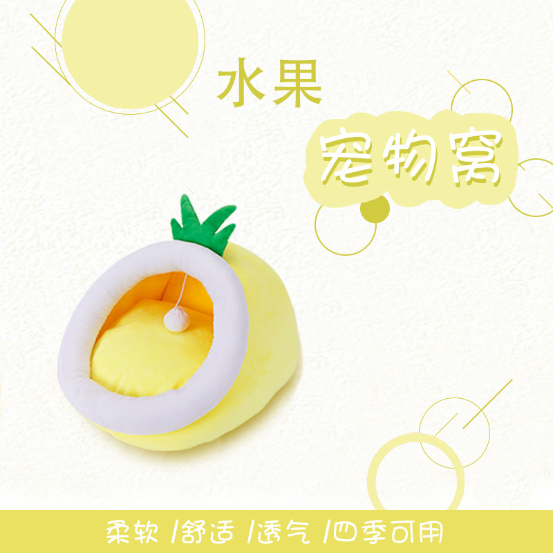 水果主图1.jpg