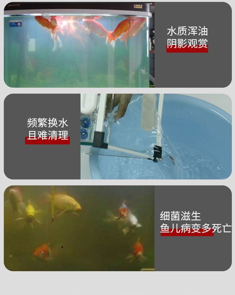 54af1a6a-57a4-478b-ac85-54d323f162b7.jpe