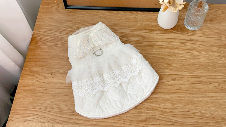 IMG_8880(20231109-133312)