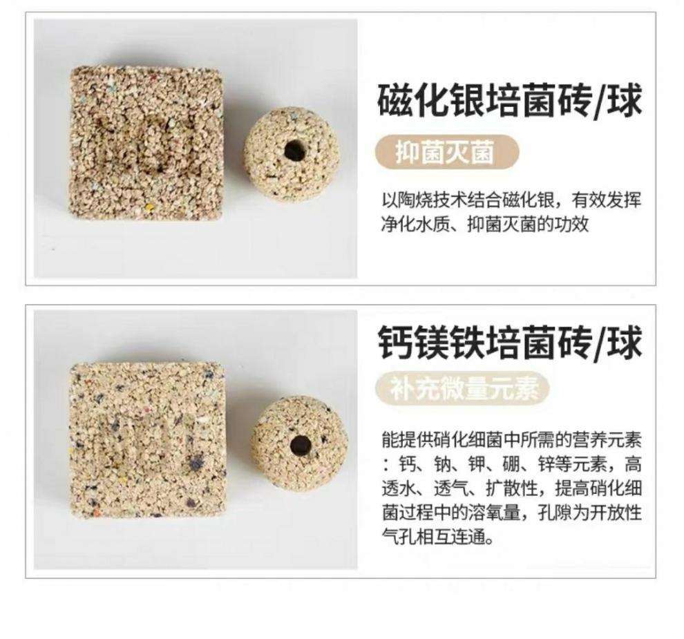 c75d714c-2255-4b9b-96e8-4e35885588f1.jpe