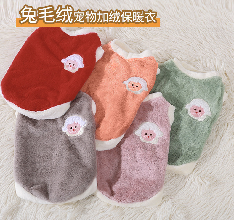 详情页猫衣服