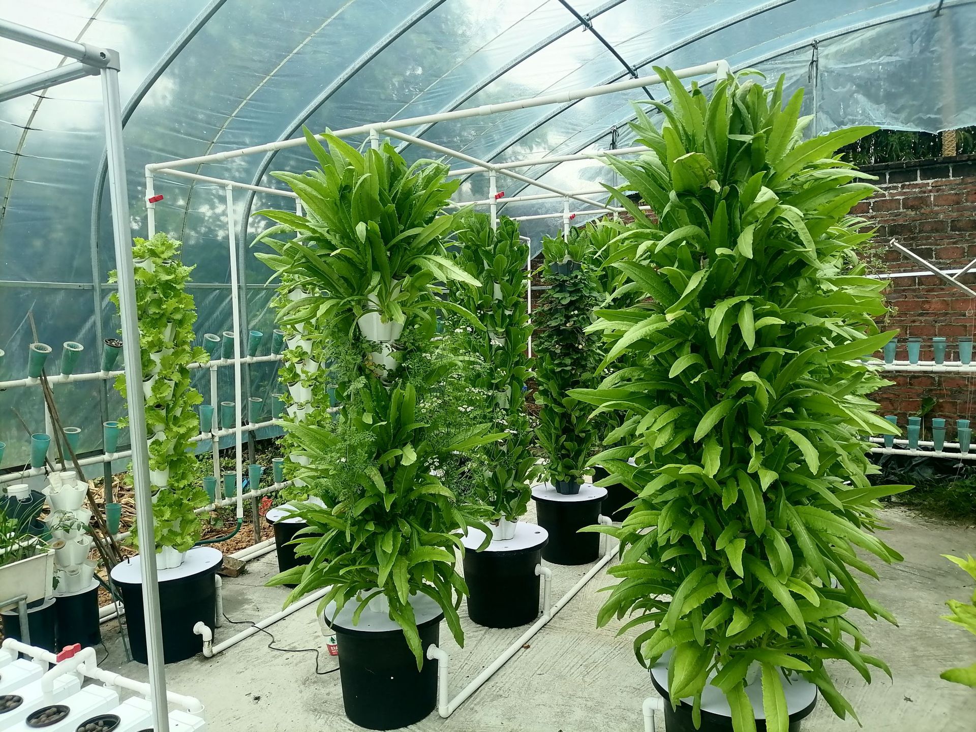 微信图片_20240625143158