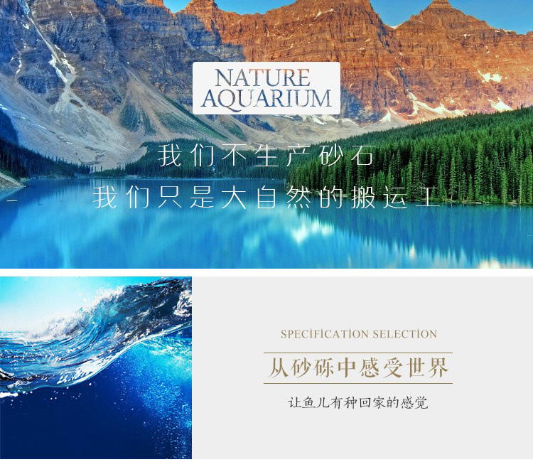 9a2dec2f-7e8b-4bc9-abda-8c4088927fa1.jpe