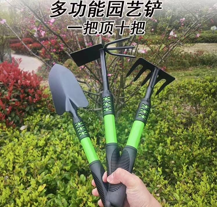 微信图片_20241221110633