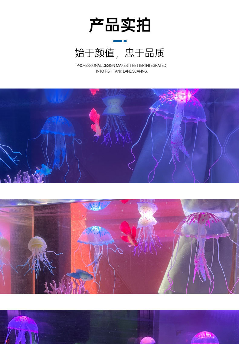 水母详情_06.jpg