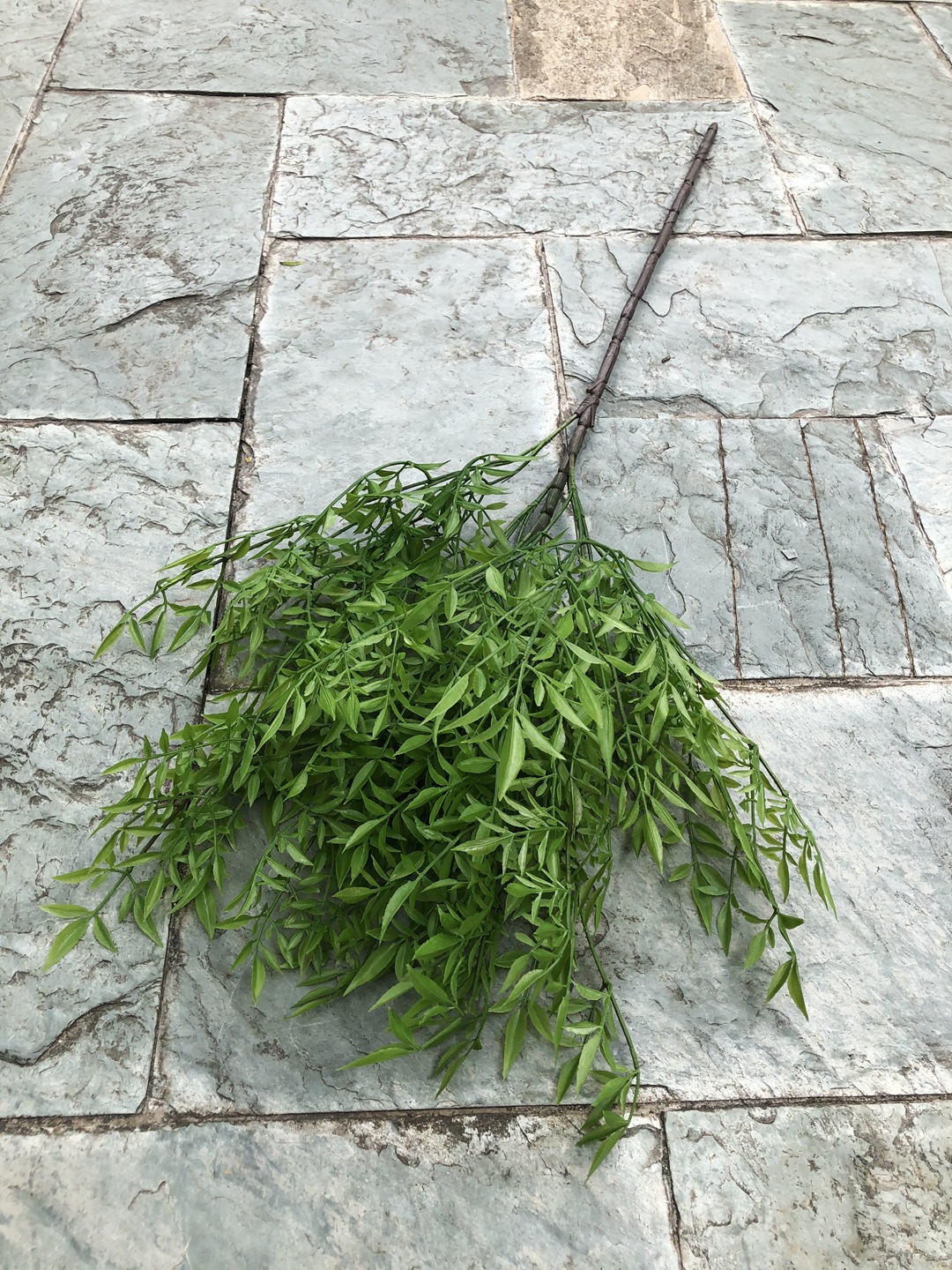 微信图片_20210806174404-1-2