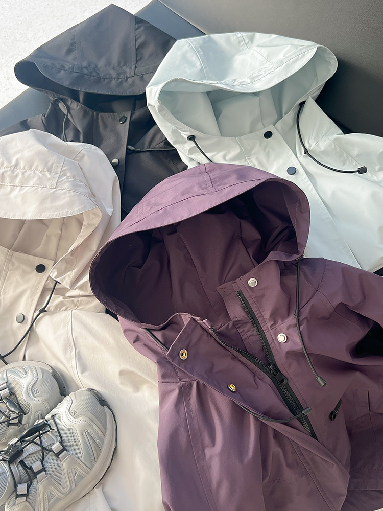 2025-01-06 141734.jpg