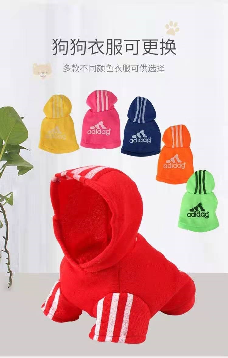 8ce1e5f1-f9bb-4ea8-9300-92a71eff1460.jpe