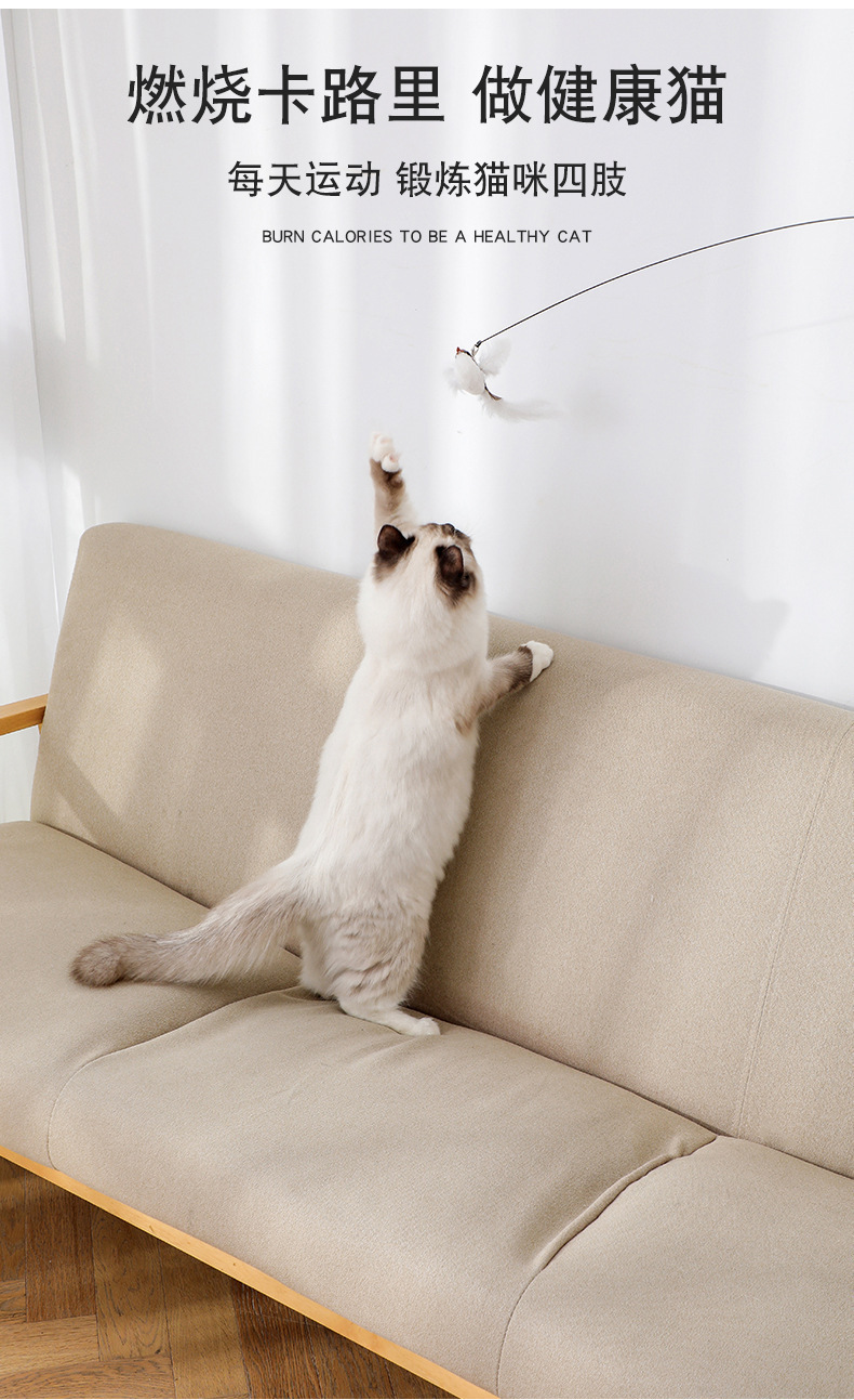 逗猫棒_07