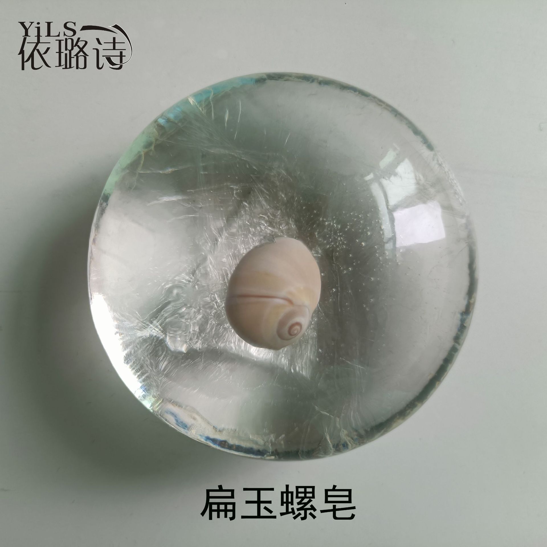 新款扁玉螺.jpg