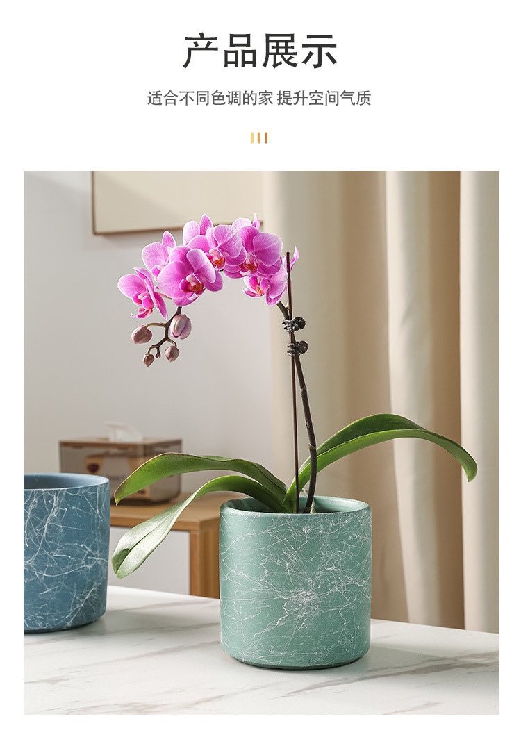 db884c96-949d-4ad6-95dd-fde3769e5aca.jpe