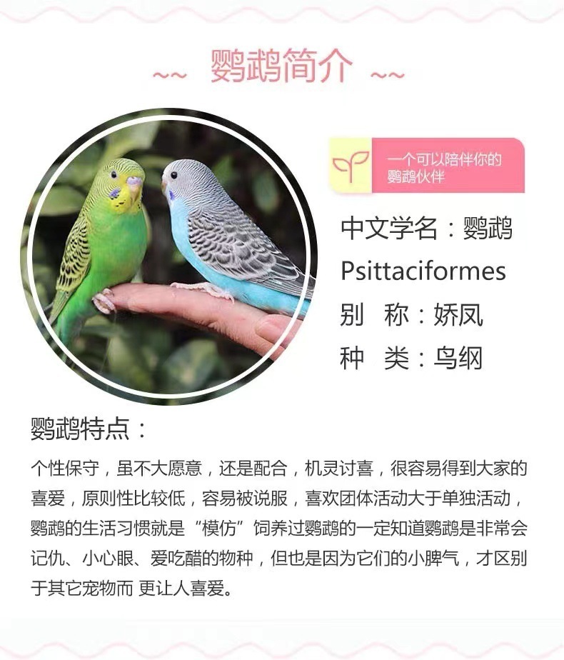 b91221c0-89a9-49c5-a53f-348ea57c3dc1.jpe