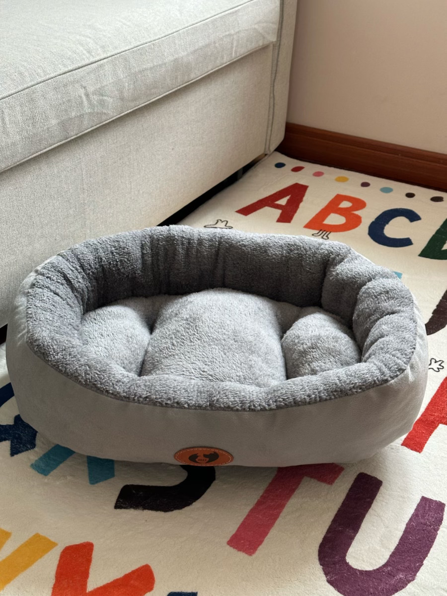 572d80d6-0ee0-4a61-b806-fc1483a0efa2.jpe