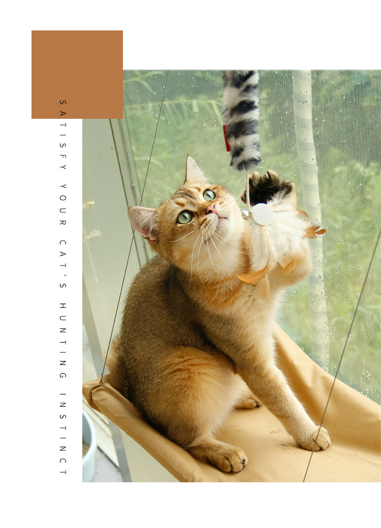 尾巴羽毛逗猫棒_02