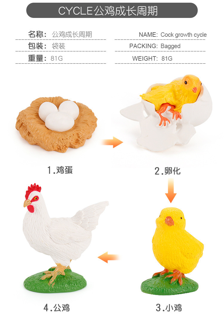 详情_02.jpg