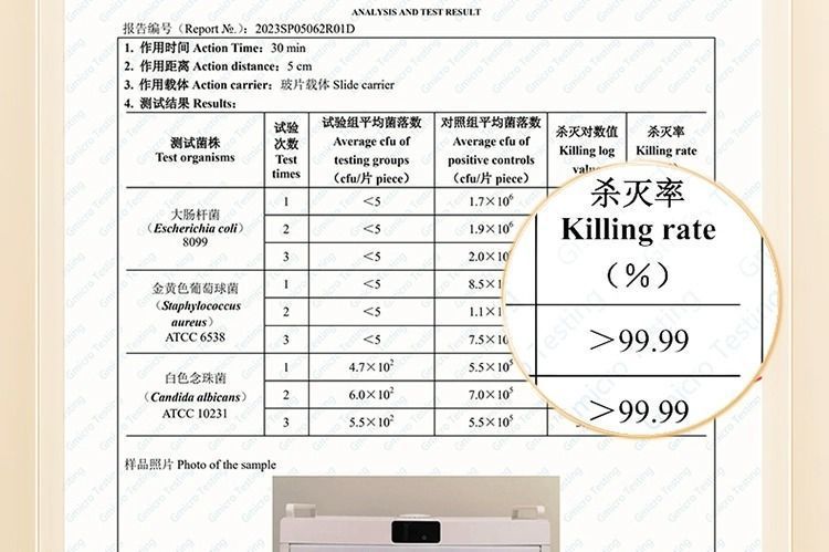 d172747b-c750-4440-ac3e-779233351292.jpe