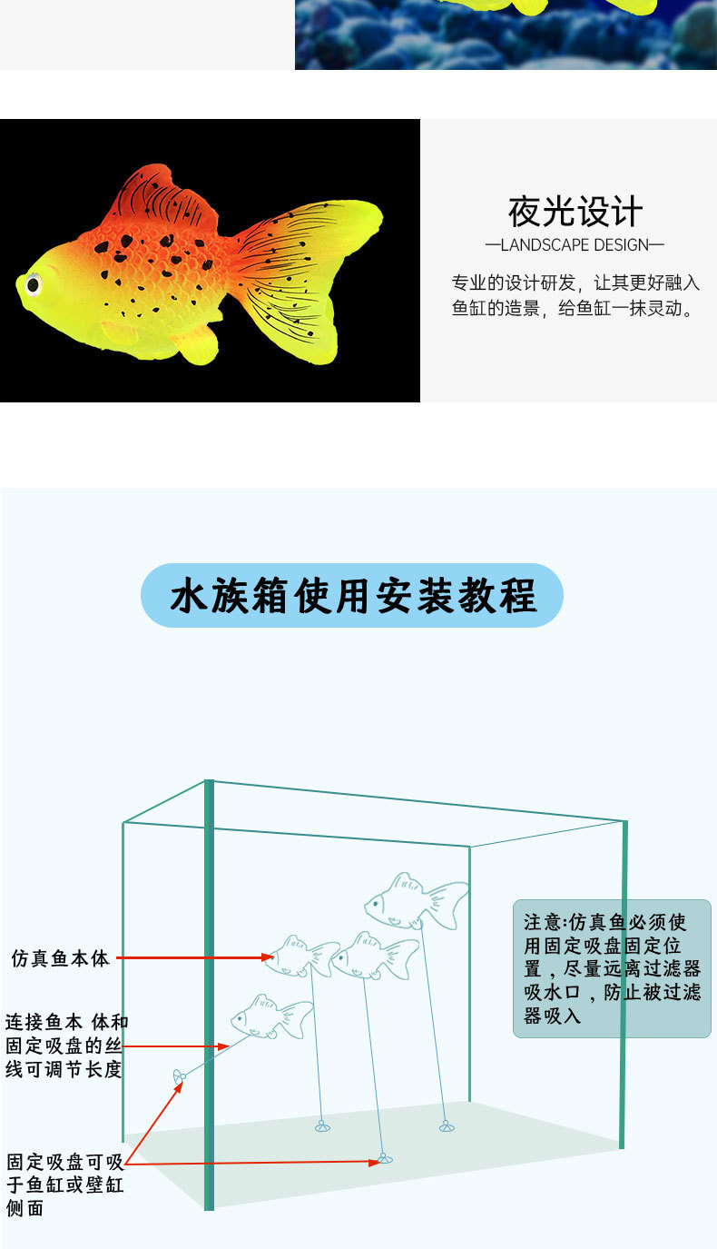 鱼详情_06.jpg