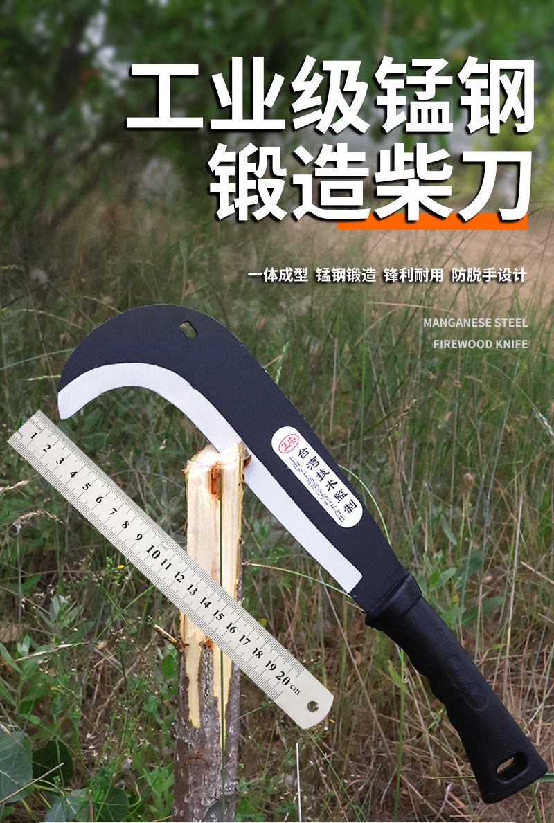 未标题-1_01.jpg