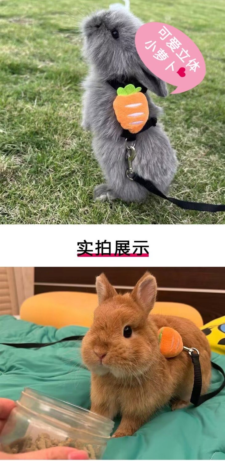 c0d1a7a7-7676-47f7-800c-665570907b16.jpe