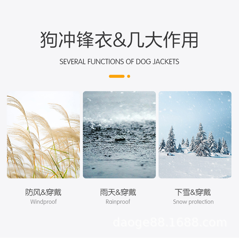 犬用双腿冲锋衣_02.jpg