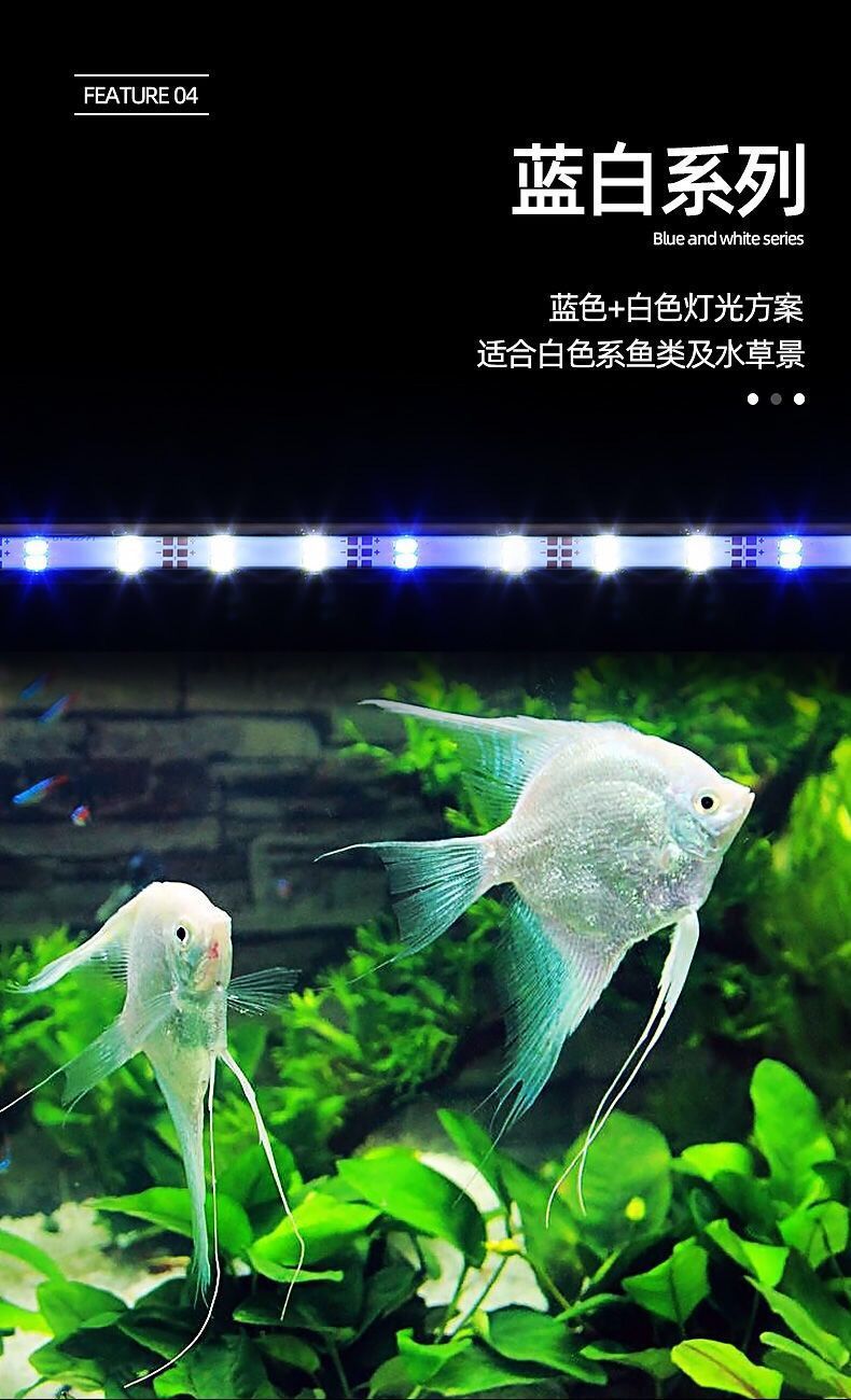 1a291388-cedf-414d-a091-9c69cd9ea3c3.jpe