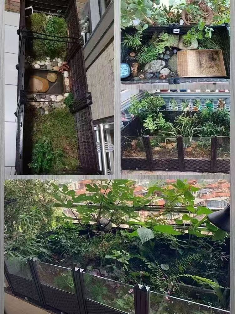 08783364-0efc-49f8-ac21-a2496cb4899d.jpe