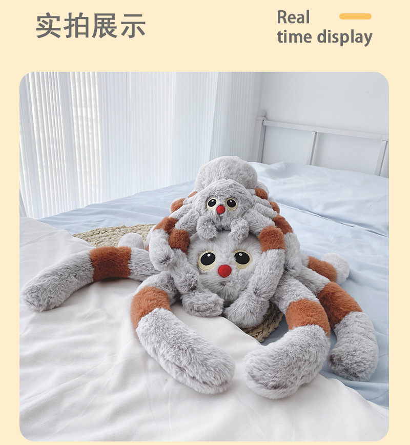 蜘蛛详情_06.jpg