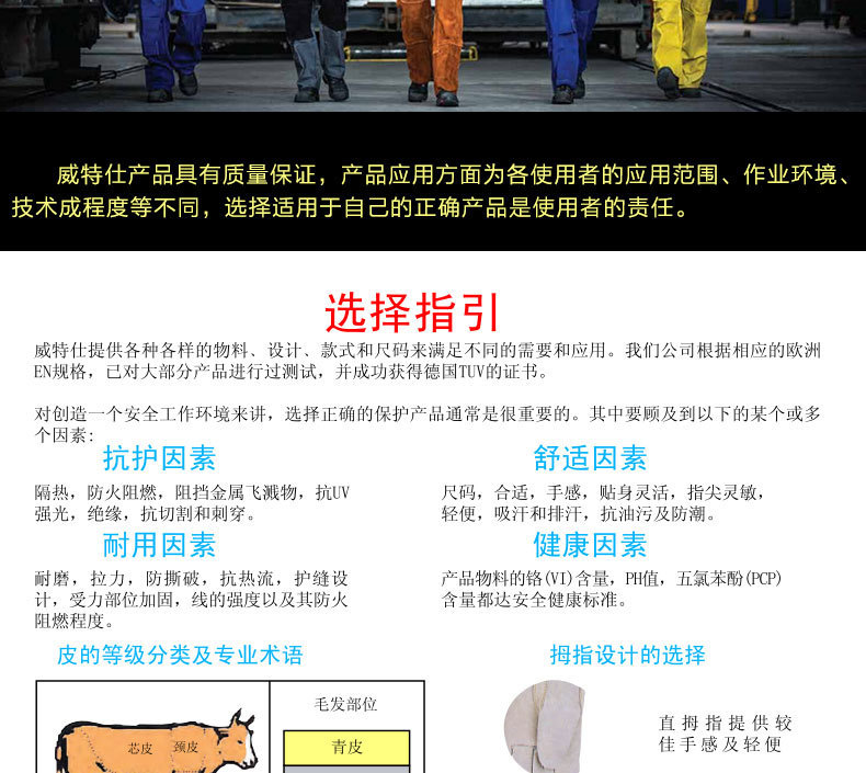 威特仕详情总_05