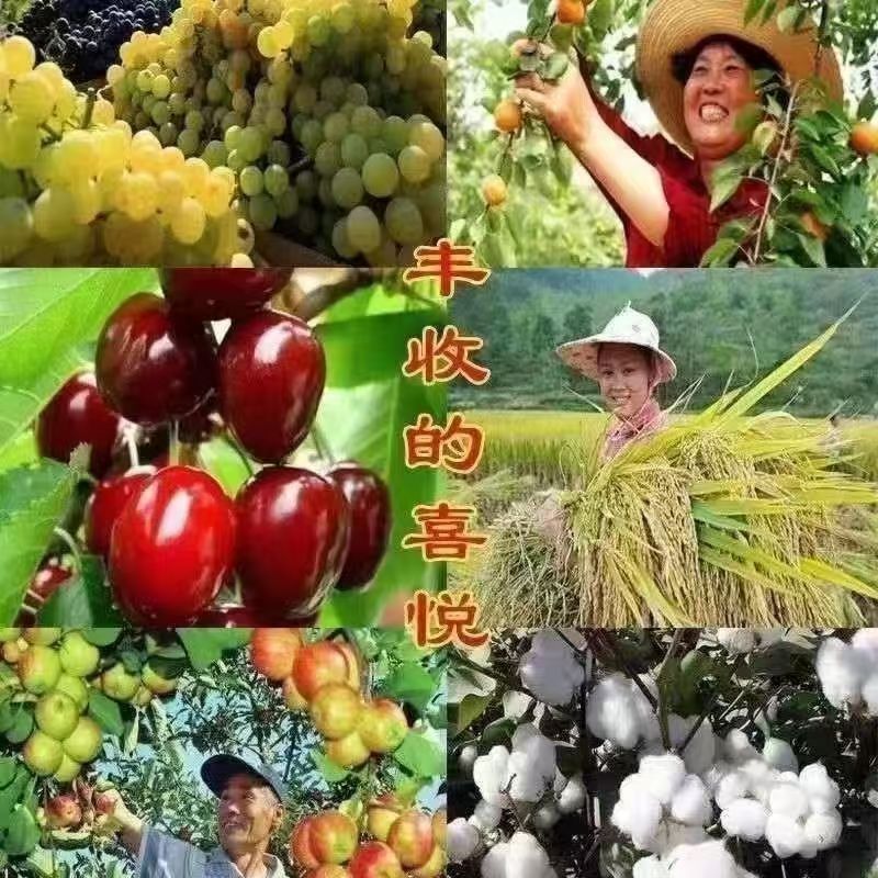 38d95ec7-8da1-44af-a2f0-89d3de7e7a88.jpe