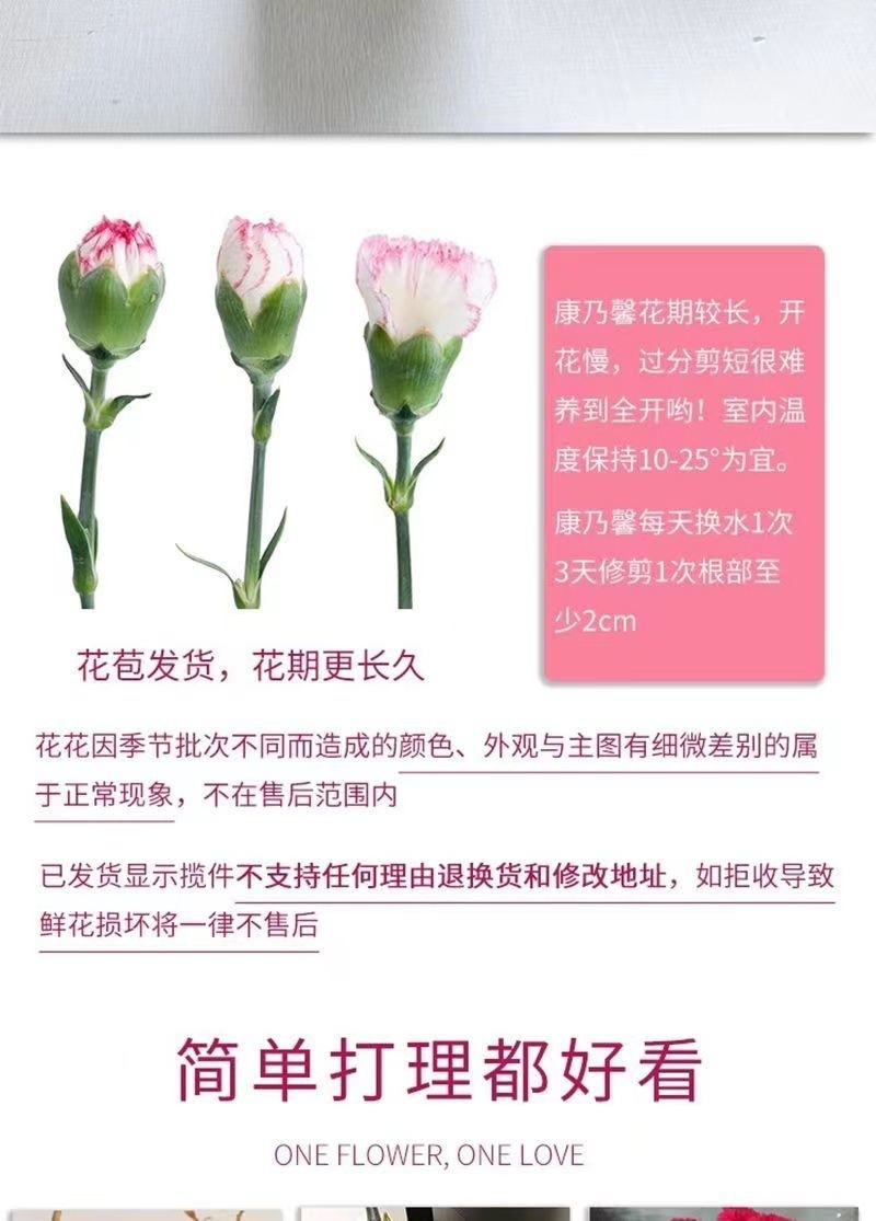 886515d2-88c9-4931-ac09-61156fcb915b.jpe