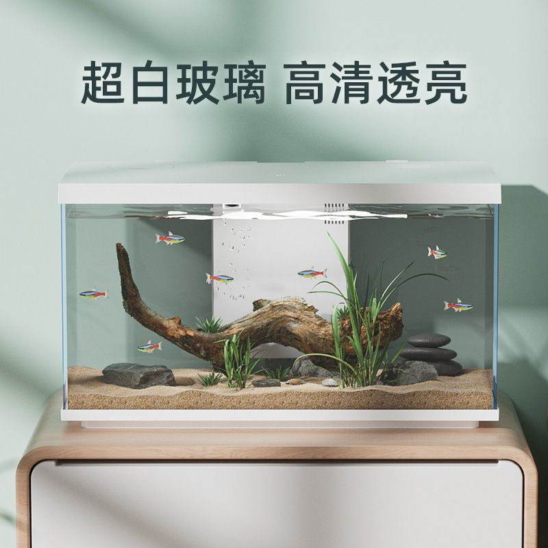 d06856a5-a9af-449a-a750-2e59c8a98bc8.jpe