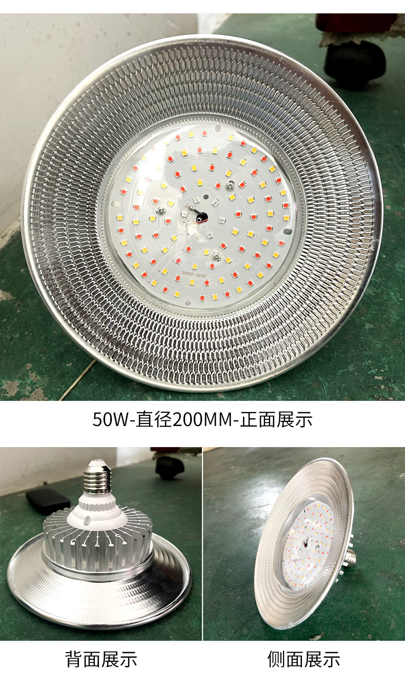 a8515845-c4c8-4d58-84a1-e2065483dce8.jpe