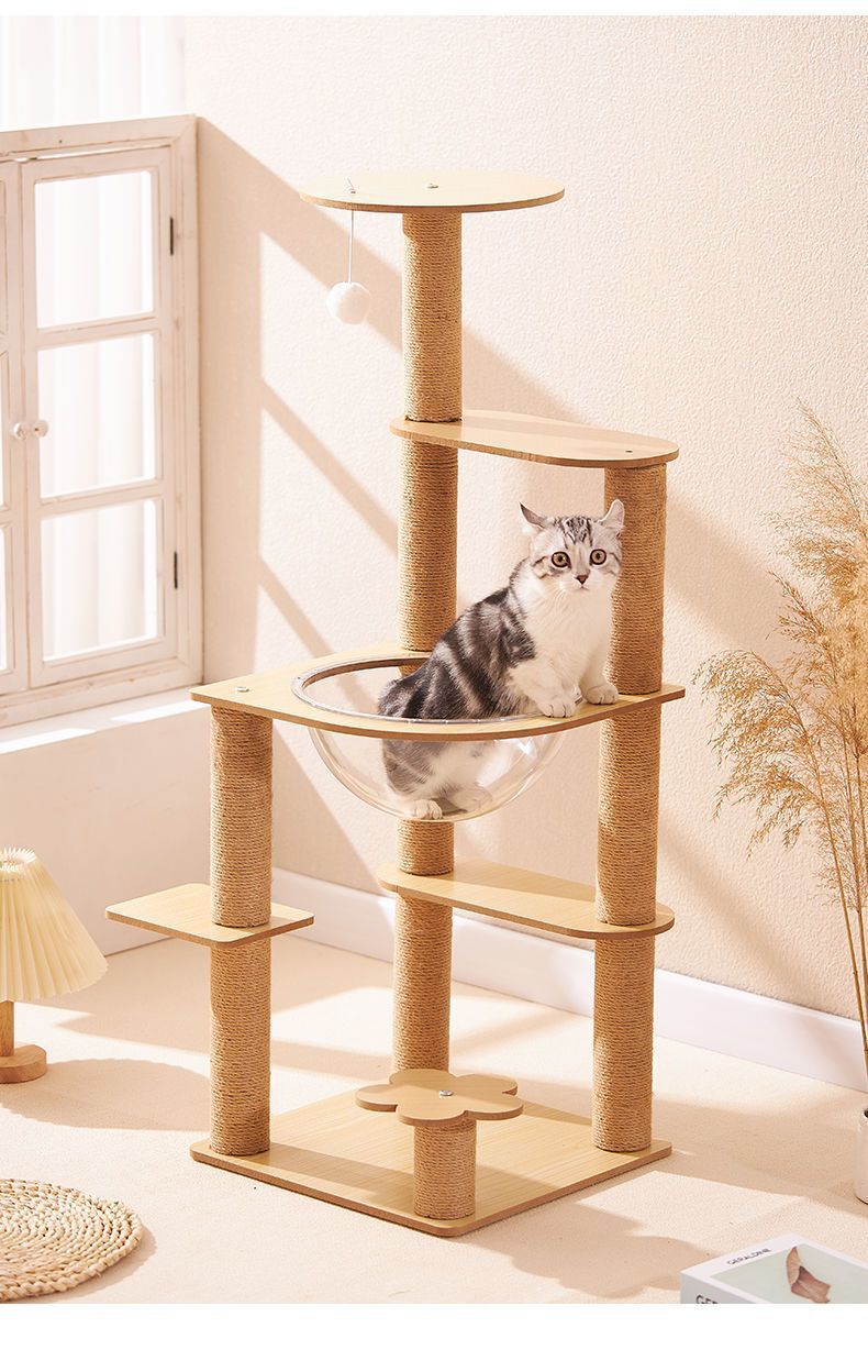 0bf3d2bc-a589-48d2-97a4-e2e41f0a6885.jpe