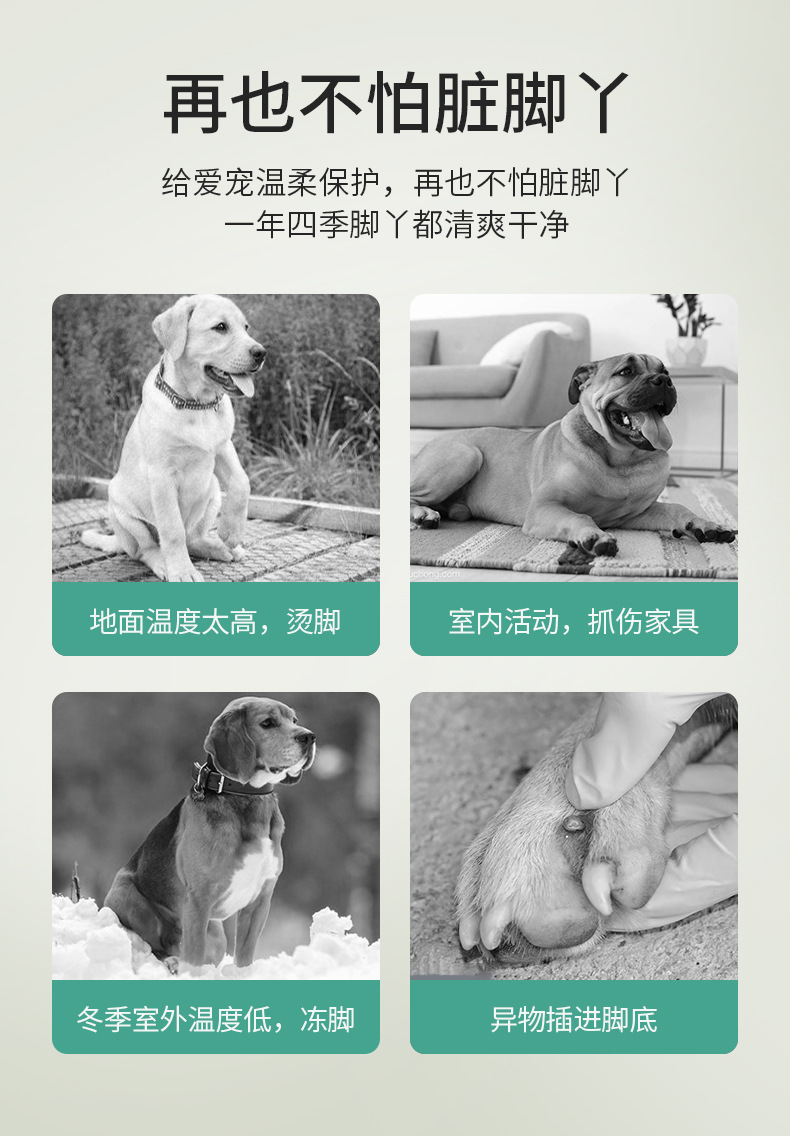 详情_02.jpg