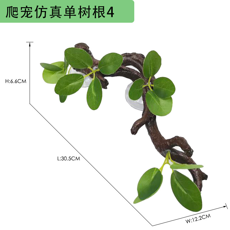 12 爬虫树根4尺寸图