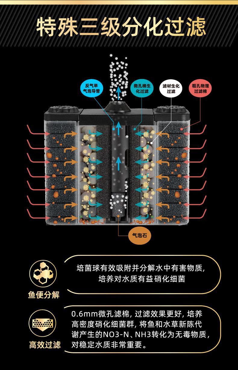 ea9daa12-d32b-484d-8d3f-fed11d6e9be8.jpe