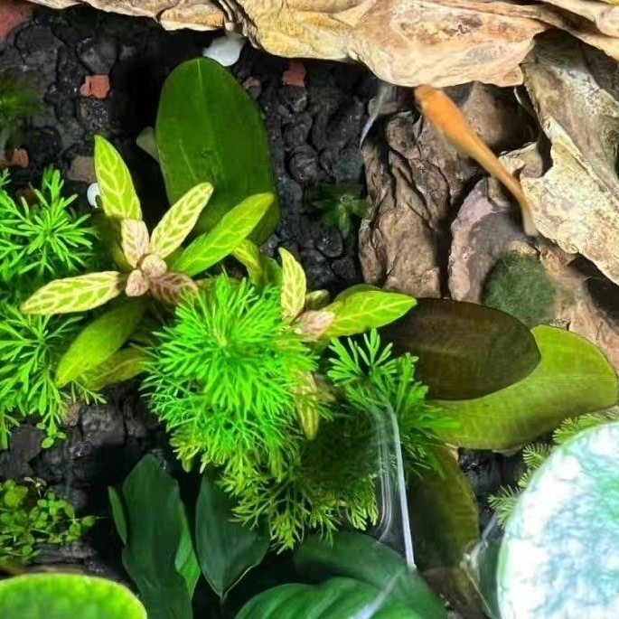 b714a73a-3df7-4b2a-9975-f852e7da33f3.jpe