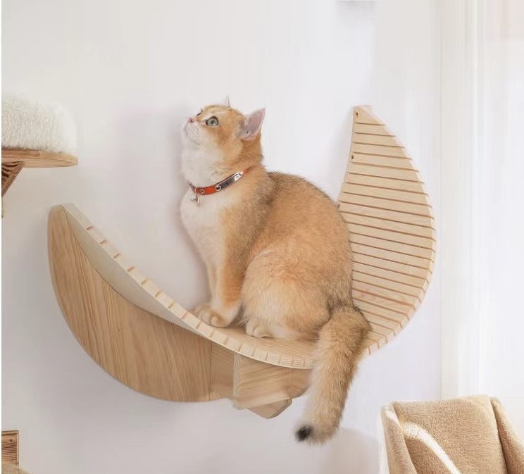 微信图片_20250618173725