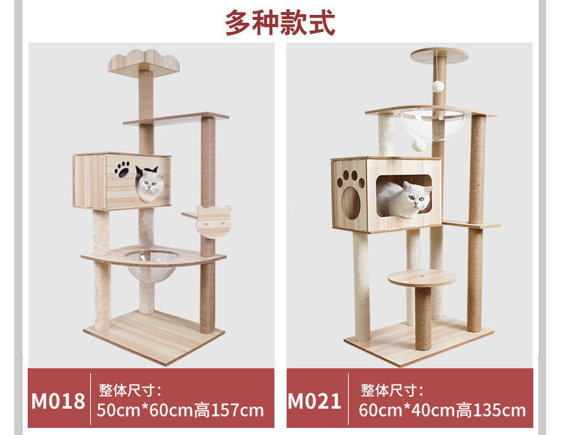 8b95f511-18f0-4d29-8677-5d73a9a68460.jpe