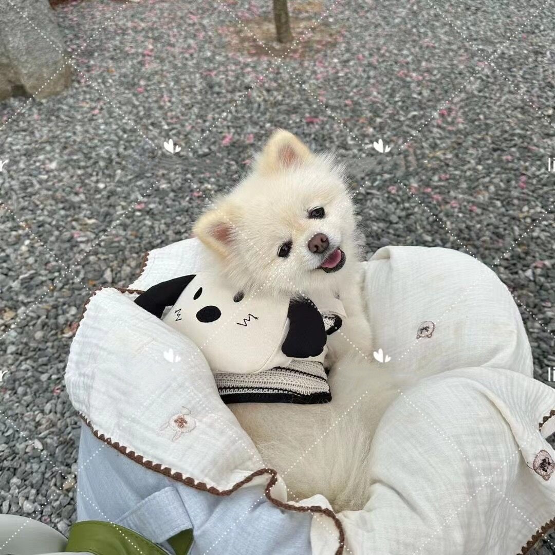 QQ图片20230524103937