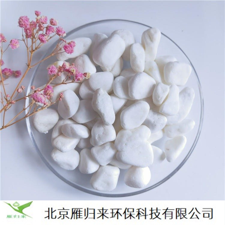 白色卵石