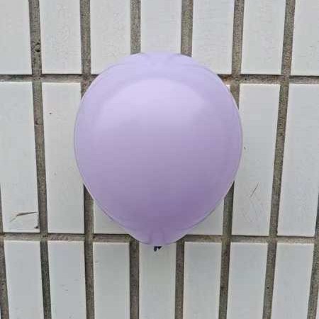 2024-11-15 12:53:14.jpg