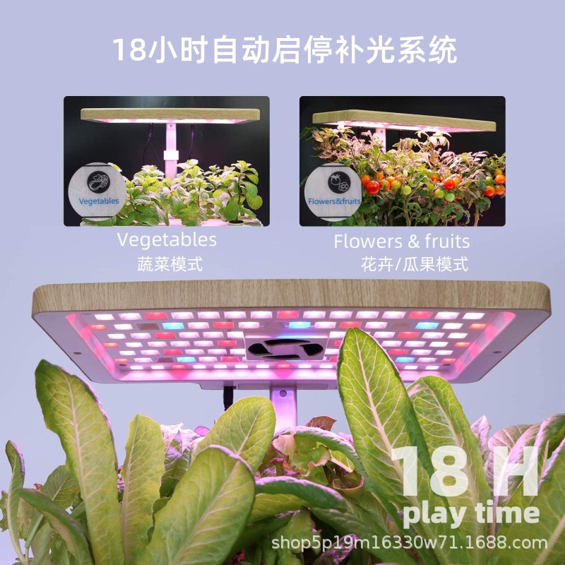 09.jpg?x-oss-process=image/format,png