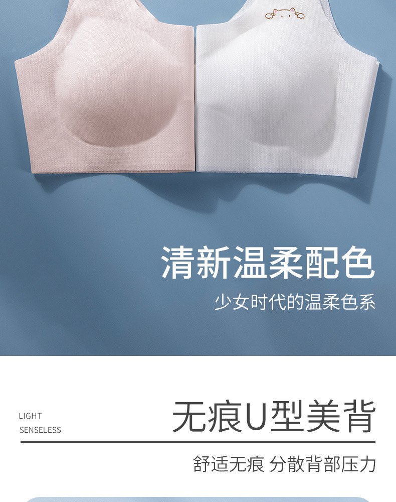 右上猫咪_12