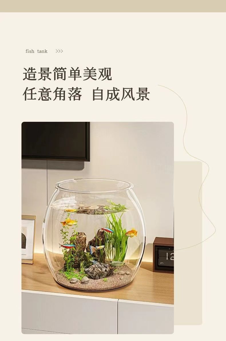 a240caa9-6edf-4729-b686-305b3b536c52.jpe