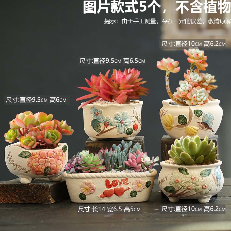 福利-花海组合5个-13.8